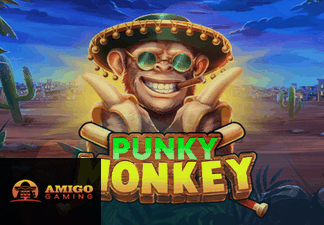 Punky Monkey